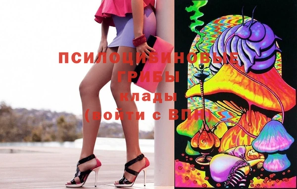 гашик Магадан