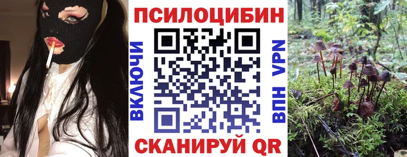 купить закладку  Черноголовка  Галлюциногенные грибы мицелий 